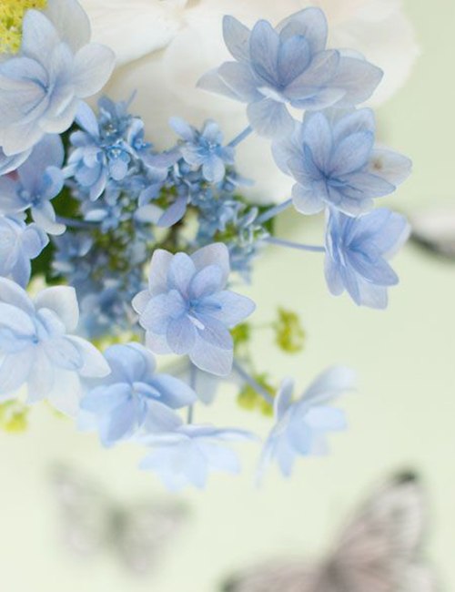 Вселенная любви