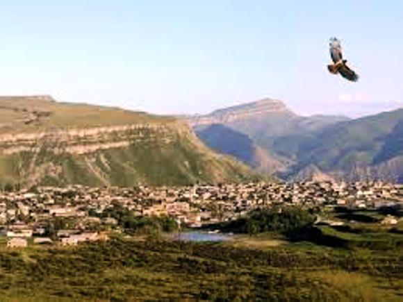 Здравствуйте родимые виды ненаглядные