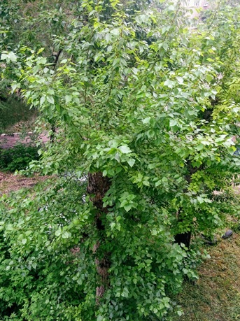 Конец мая...