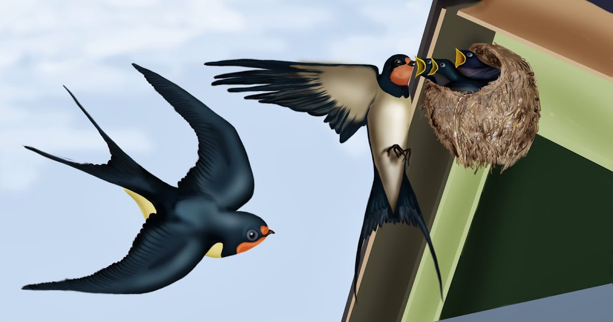 Майские туманы