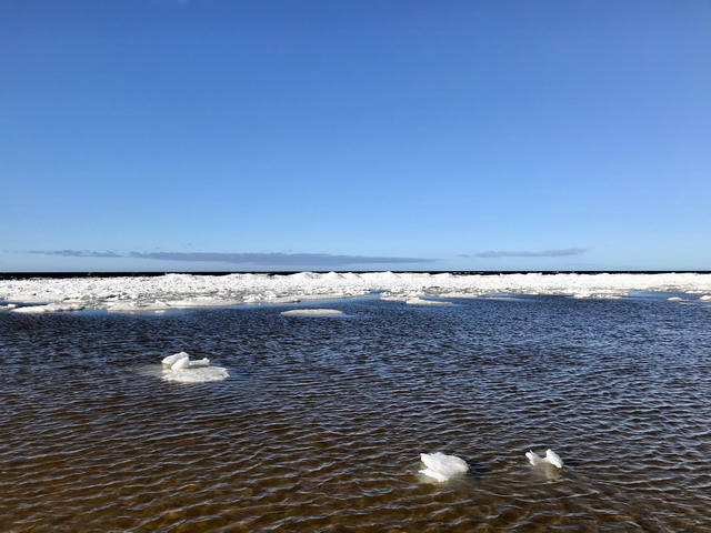 на кубиках льда