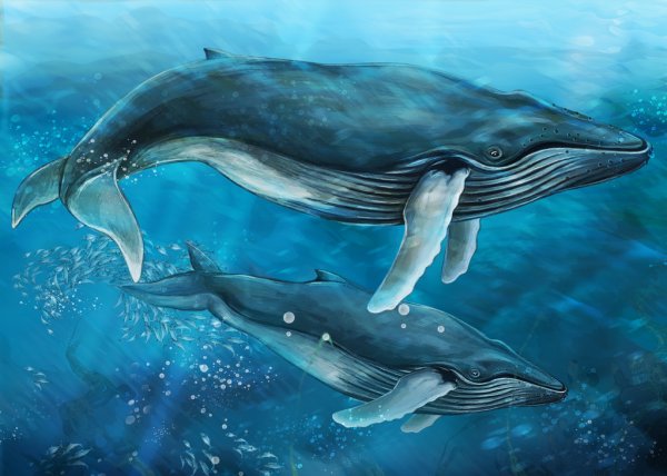 Опускаюсь на дно океана