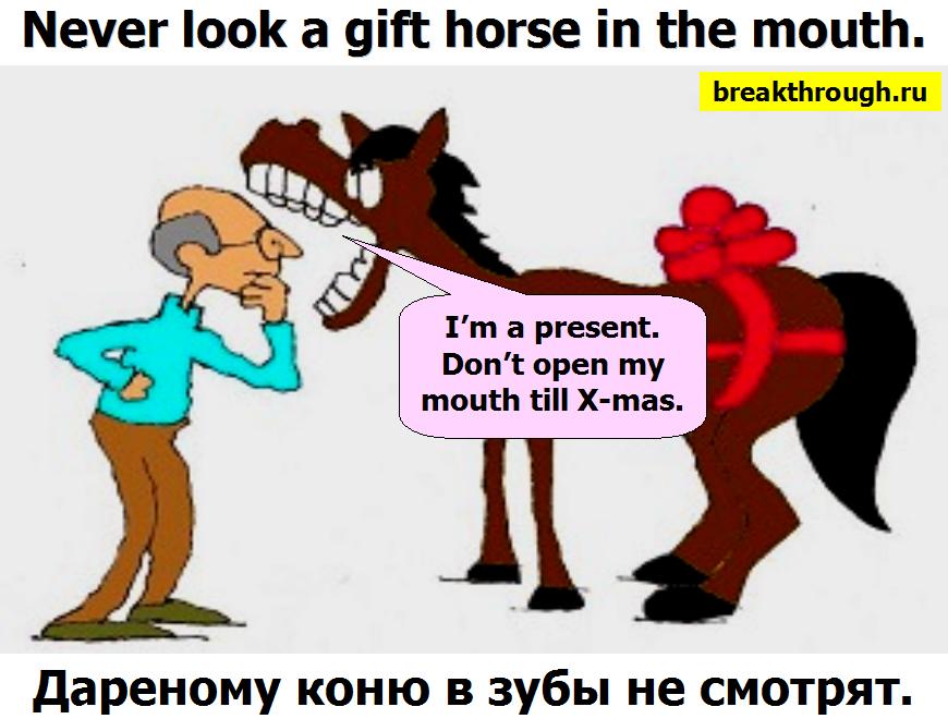 Поговорка дареному коню в зубы. Дарёному коню в зубы не смотрят. Дареному коню в зубы нес. Дареный конь. Пословица дареному коню в зубы.