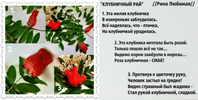 Сбылось! Я снова вижу чудо!