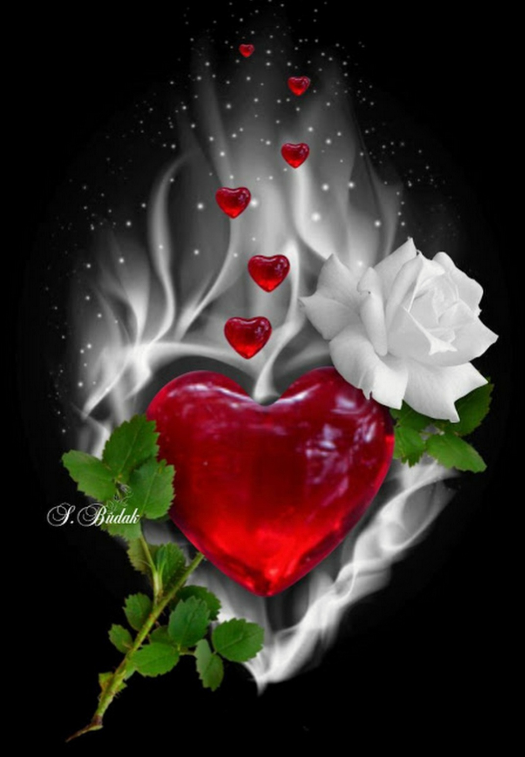 Qora fon rasm