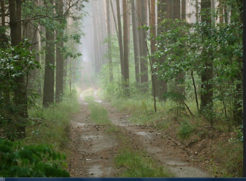 Неправильный дождь