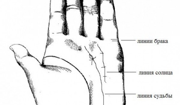 Линии судьбы...