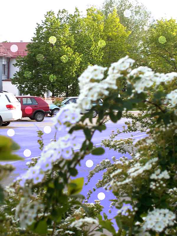 Шо значыть тут ням-ням ни скольк