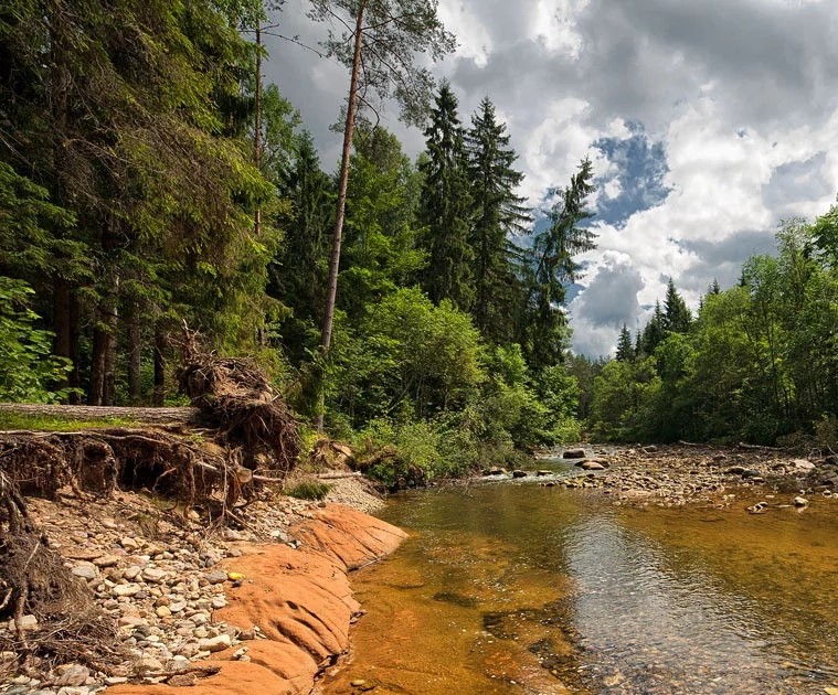 Пришедшее озарение (Александр Черноножкин) / Стихи.ру