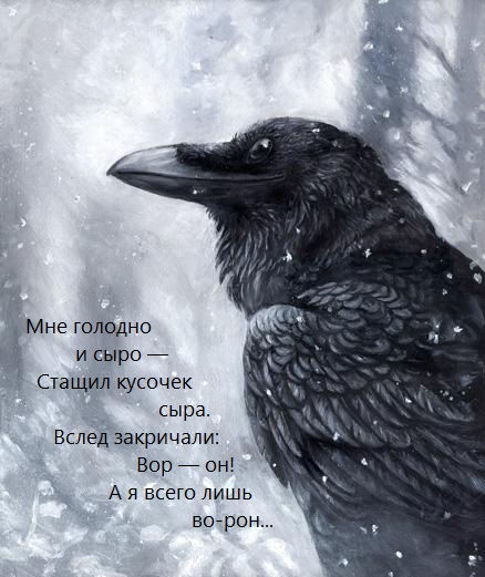 Мне голодно и сыро...