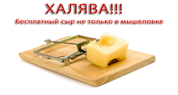 Бесплатный сыр бывает не только в мышеловке (Халида Шариф) / Стихи.ру