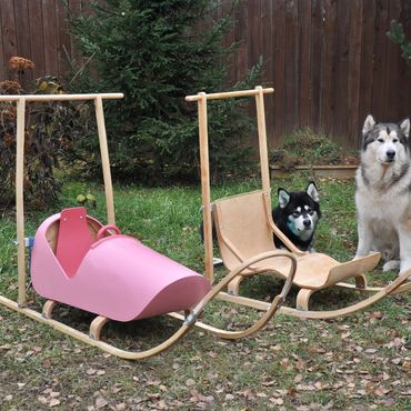 нарта собачья. нарты альбатрос. упряжка для собаки для санок. дугокопыльные нарты. деревянные нарты для собак.