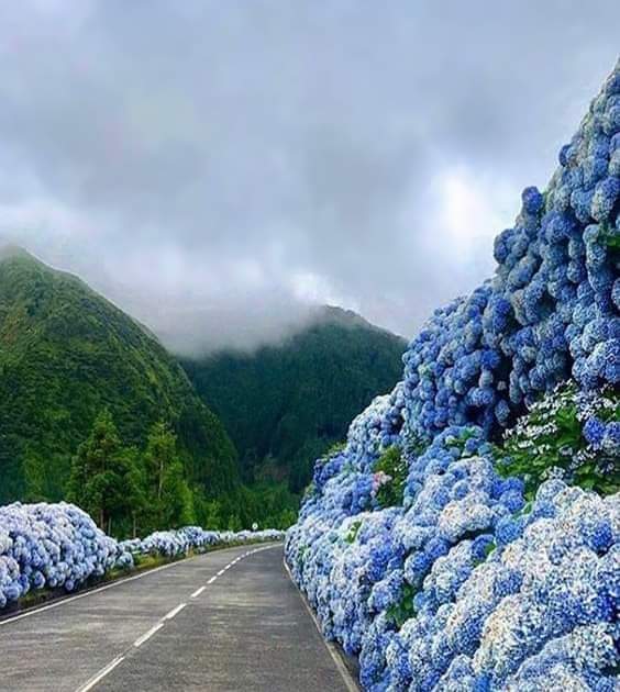 Свiт сюрпризiв