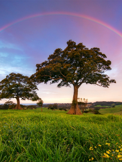 Июньский день