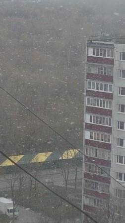 Карантинки