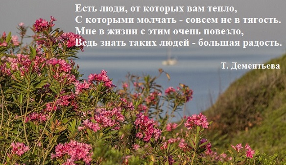 Владимиру Акулину