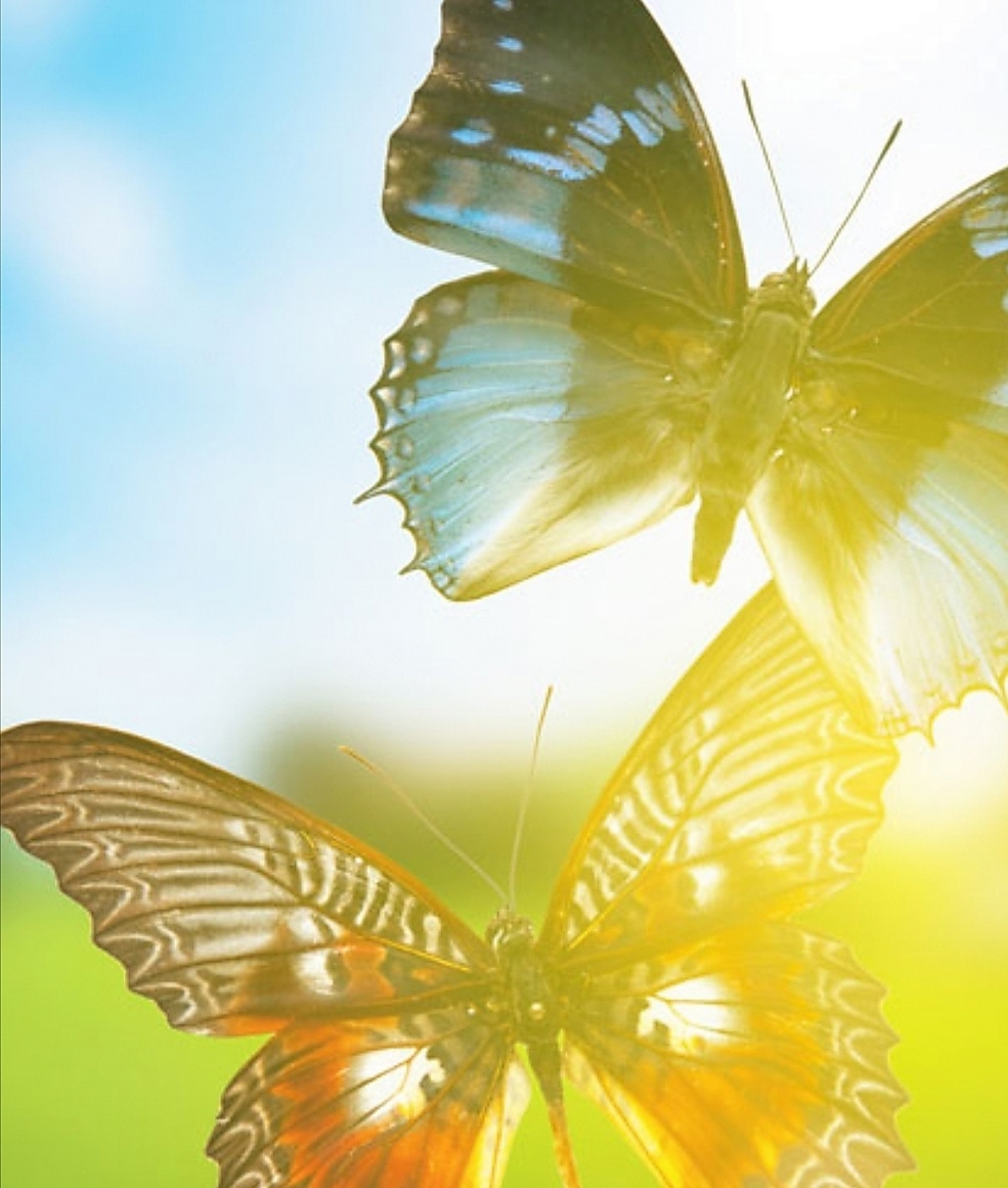 Воздух, переполненный зарёю...