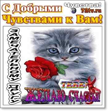 Добрые чувства