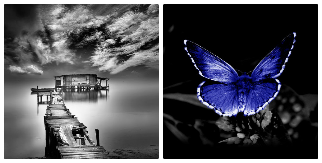 Чёрно-белое