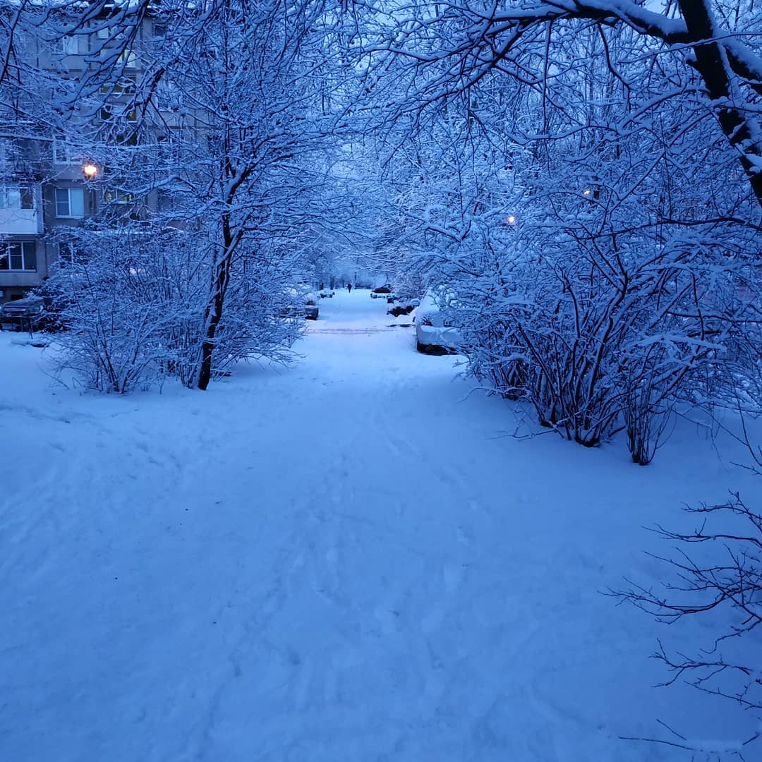 Прекрасно утро после ночи снежной...