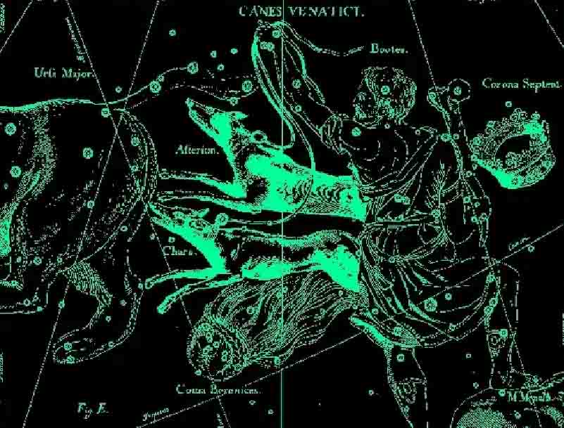 Гончие псы звезды. Canes venatici созвездие. созвездие гончих псов. созвездия ян гевелий гончие псы. созвездие гончий пес.