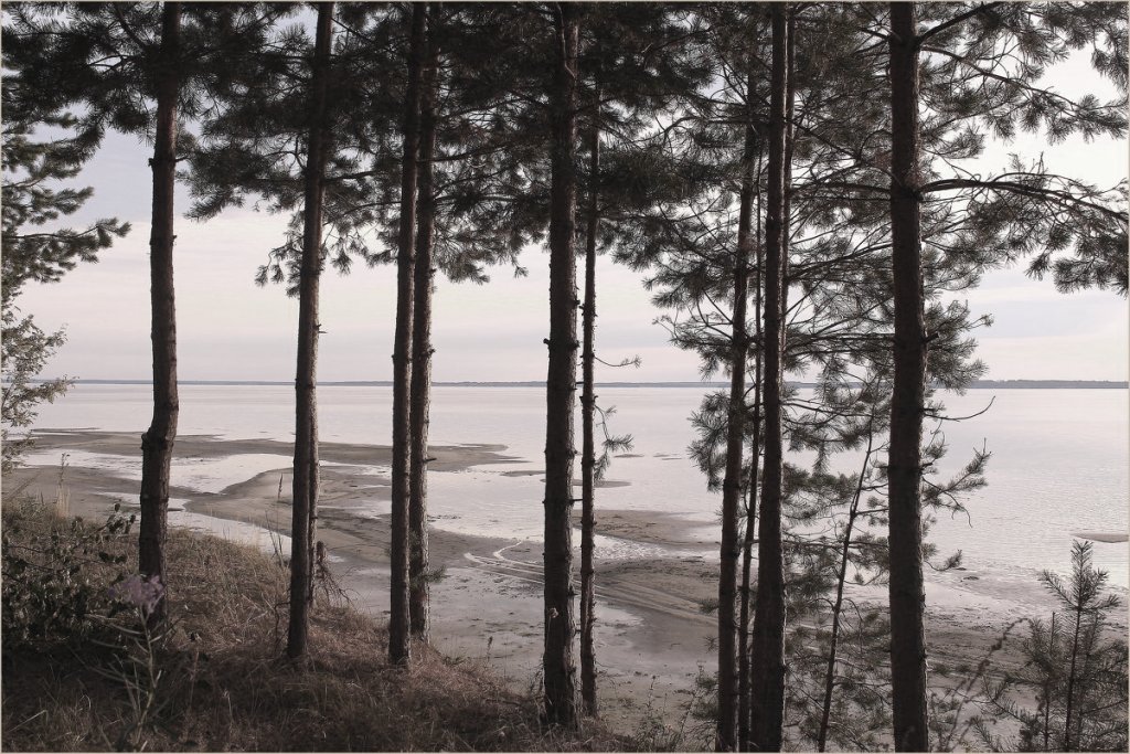 Море Балтики