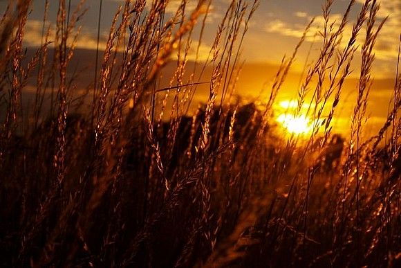 Летний вечер (Казаков Слава) / Стихи.ру