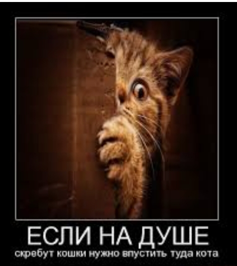 Кошки на душе