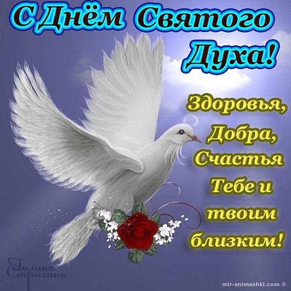 Поздравляю с Днем Духа Святого!