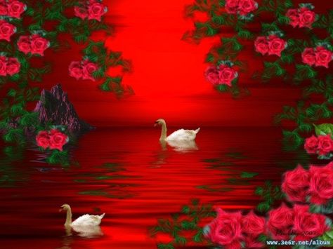 Я розу чайную сорву...