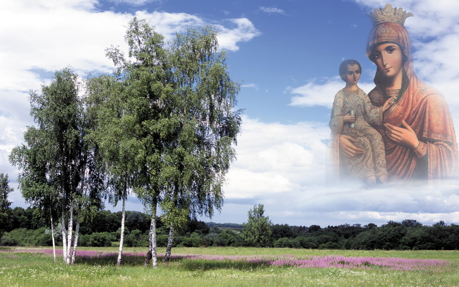 Только не на Голгофу...