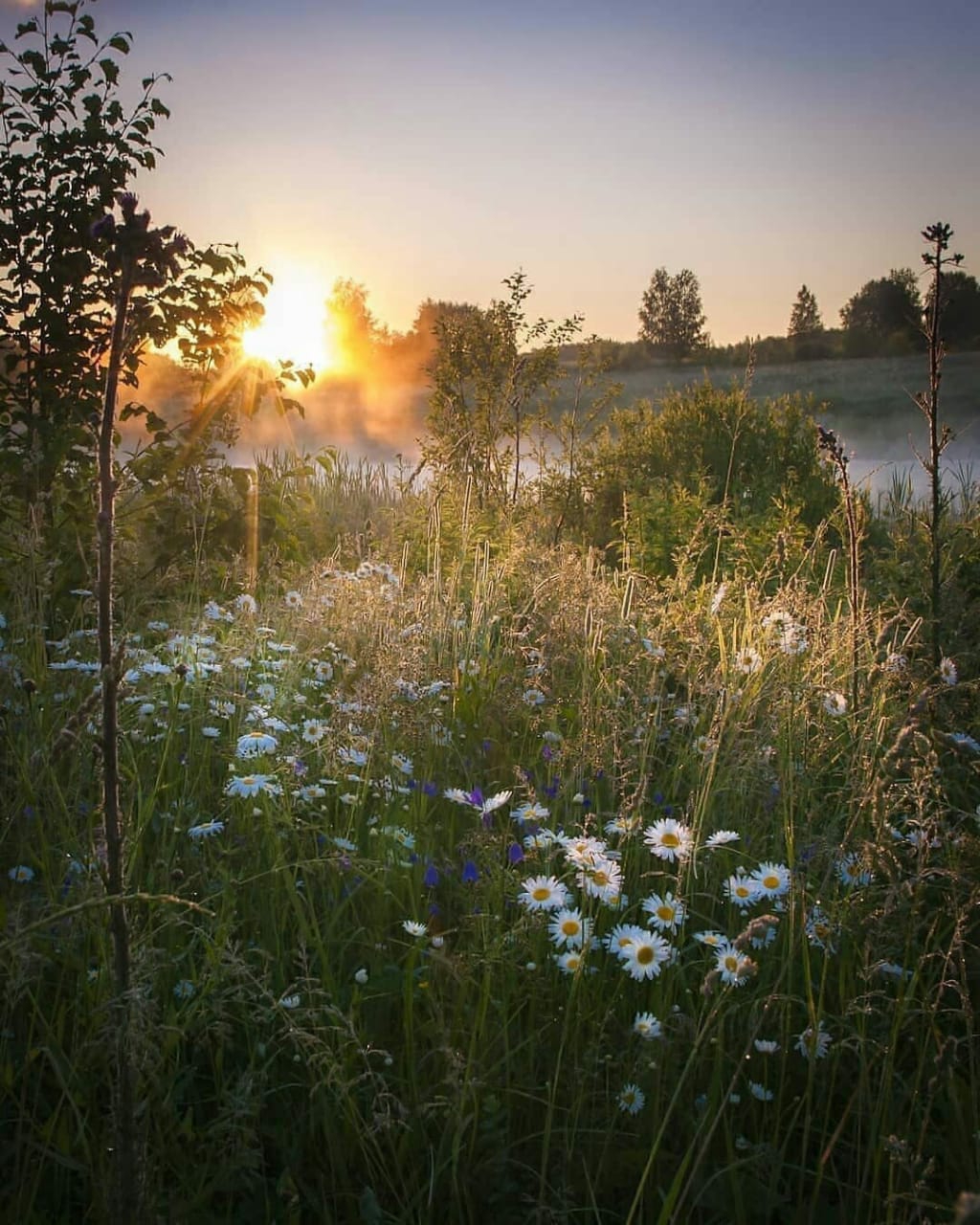 Утренняя Благодать