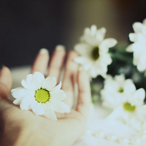 Кто твой Господь? - 17