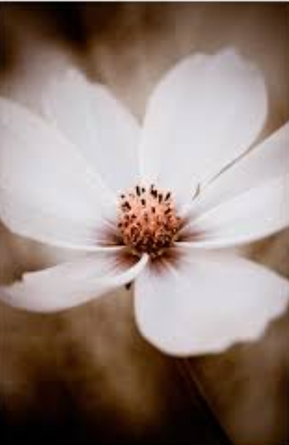 Ich sehne mich nach dir