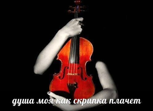 Ивана кучина тихо плачет скрипка