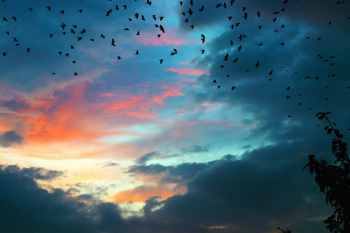 Плачут Иконы