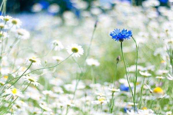 Пусть любые дороги...