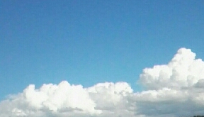 Душа моя, живи!