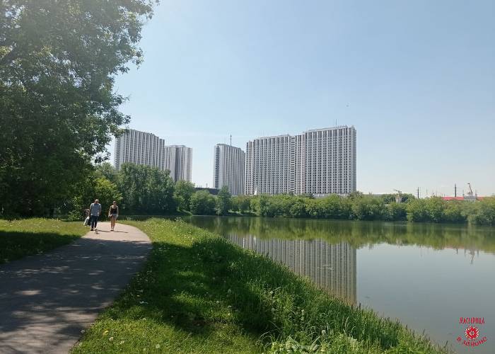 Активно отдыхаем или пассивно трудимся