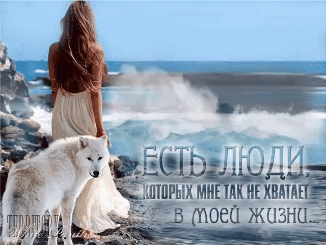 ЖАЛЬ, ЧТО
