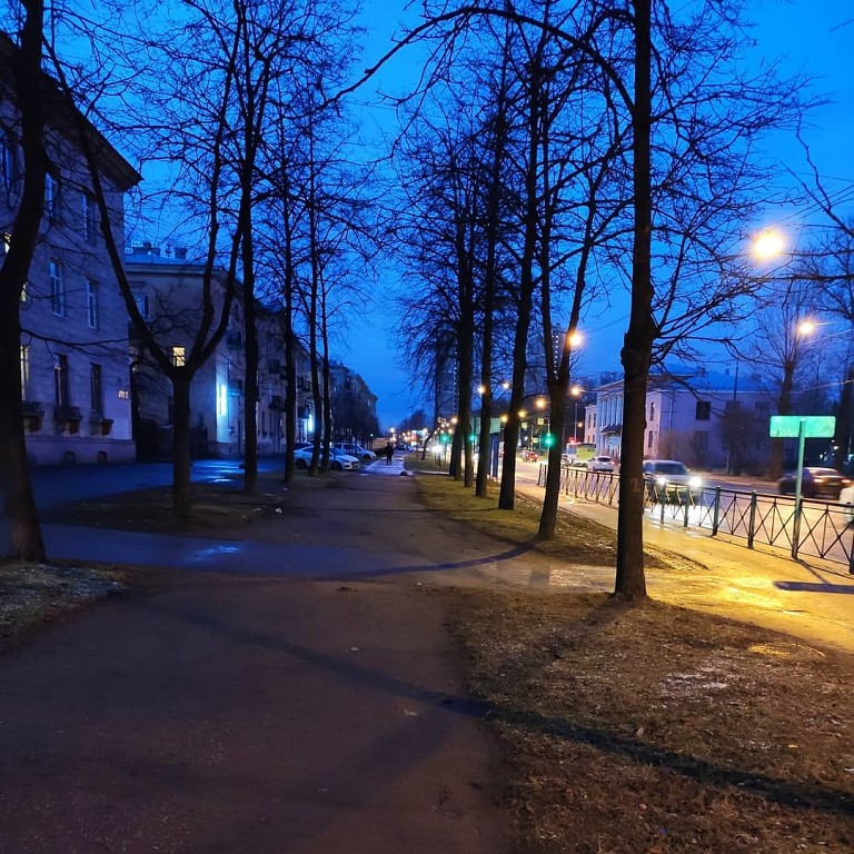 Вечерняя прогулка