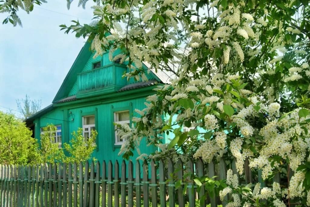 Деревенька Новый Свет