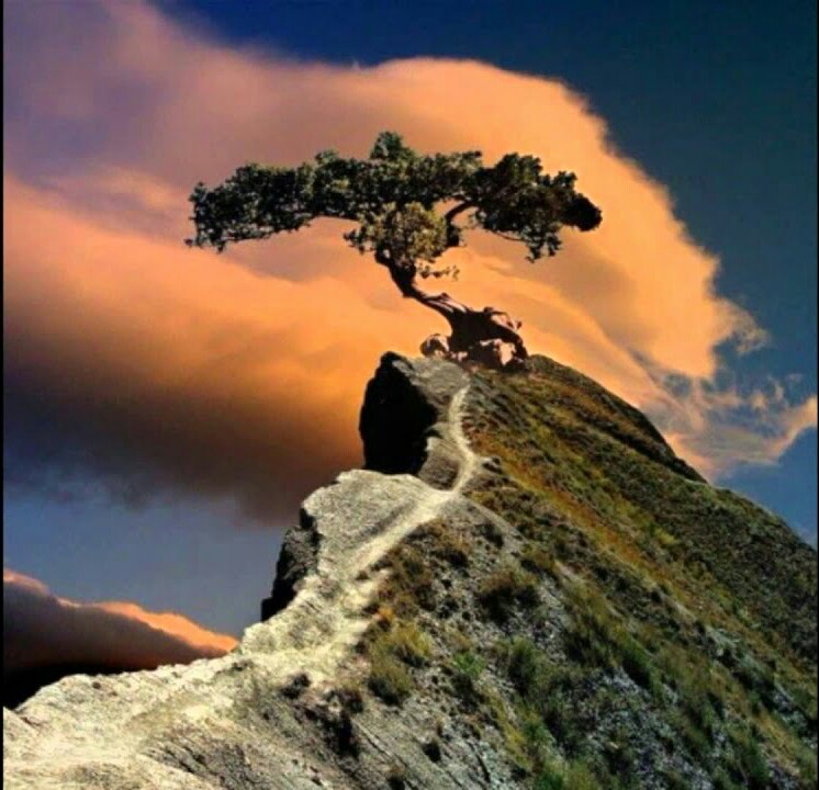 На краю утеса