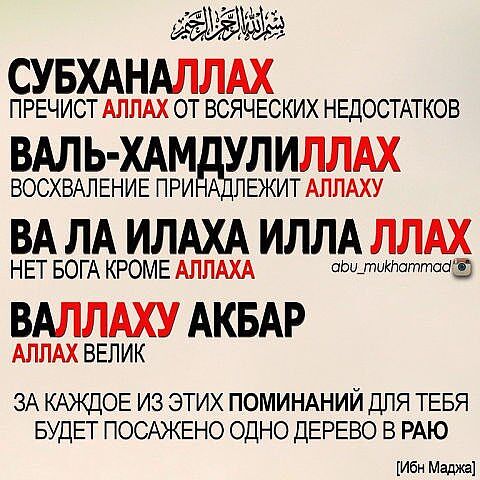 Из жизни богатой дамы. Моя прибыль