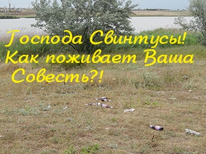 Мы виним весь мир людской, но не себя!