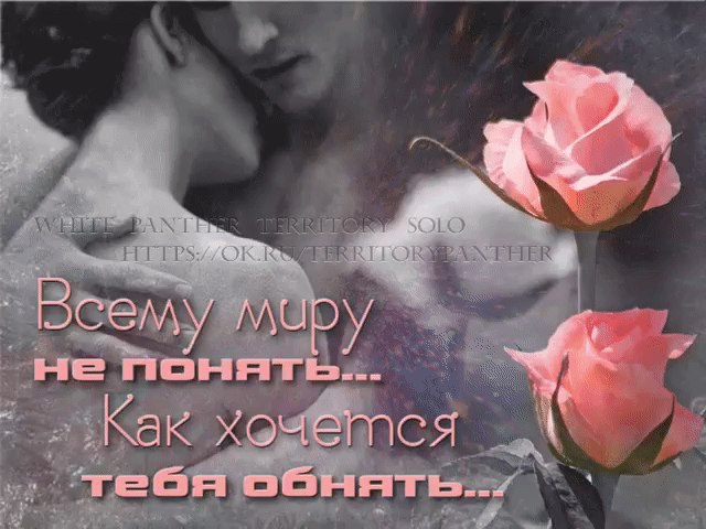 Отрада сердцу моему