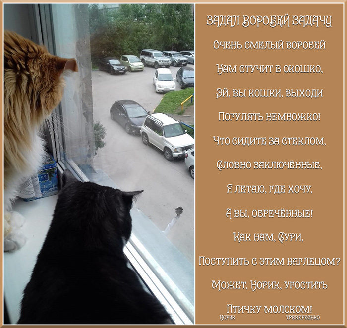 Задал воробей задачу