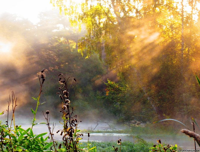 Слепой дождь