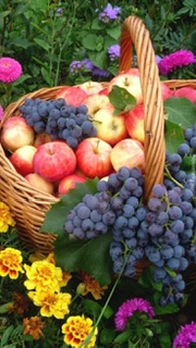 Загадки, Акростих