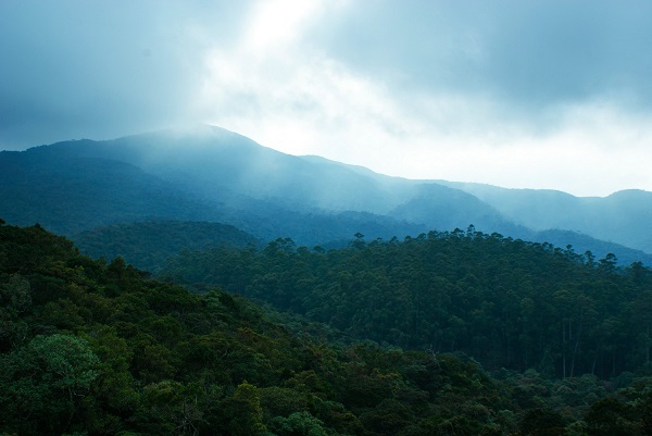 Я дикий отшельник